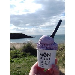 Môn ar Lwy Award-Winning Artisanal Welsh Ice Cream, Sorbet & Frozen Yogurt Tubs (24 x 125ml)