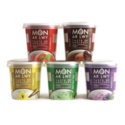 Môn ar Lwy Award-Winning Artisanal Welsh Ice Cream, Sorbet & Frozen Yogurt Tubs (24 x 125ml)