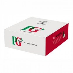 PG Tips 12 x 100 Tagged Tea Bags